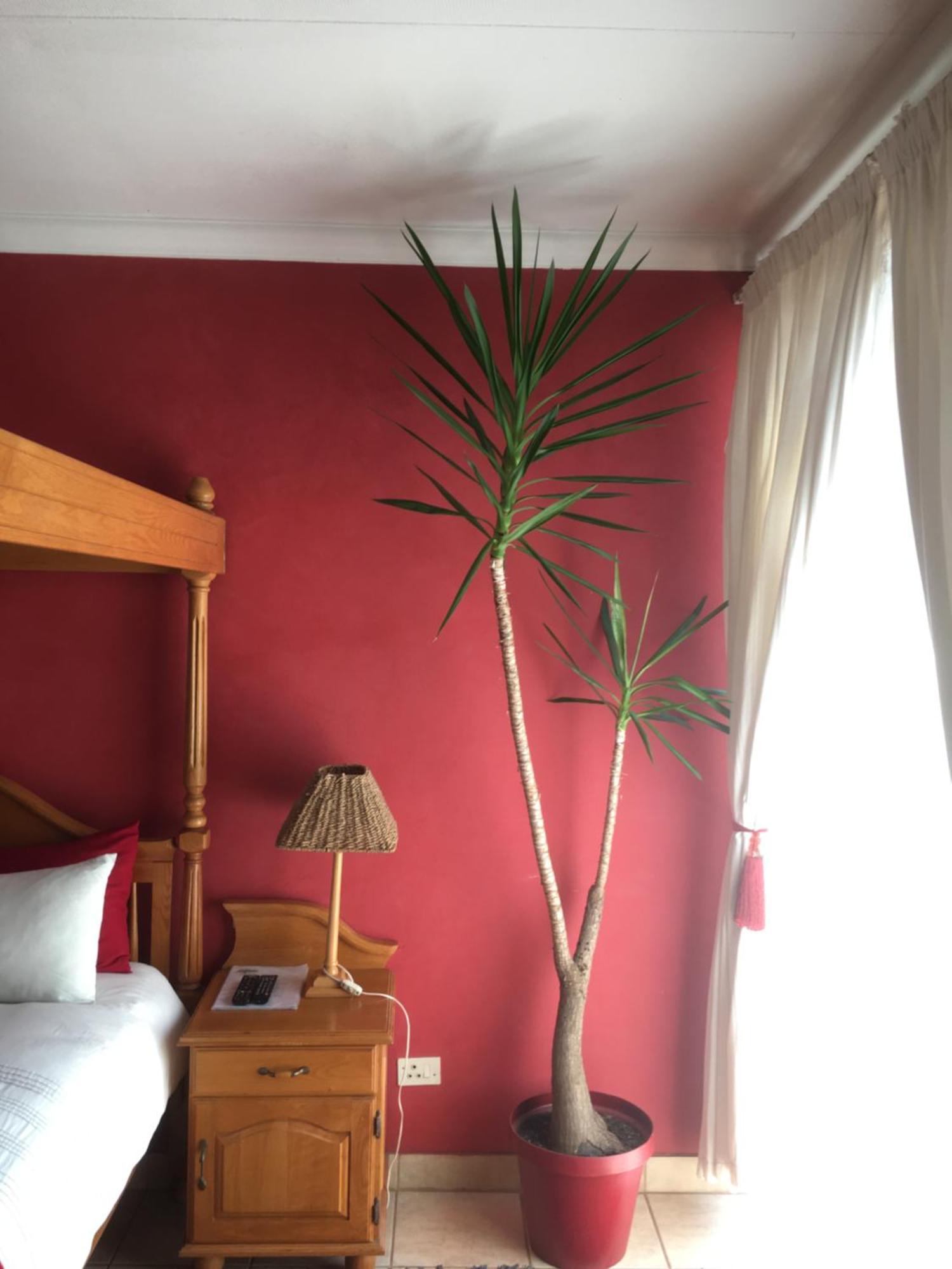 Birrea Guest House Polokwane Esterno foto