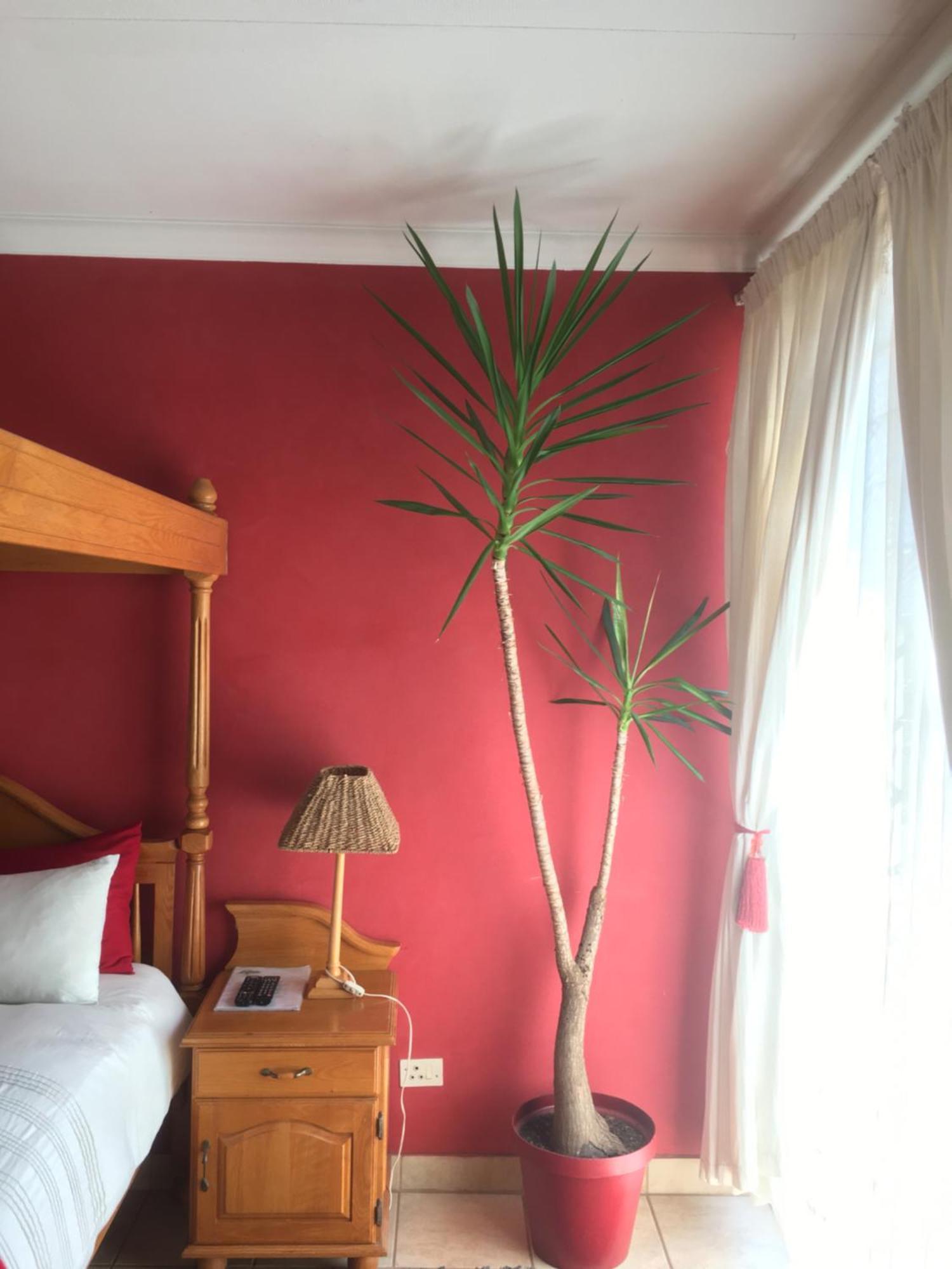 Birrea Guest House Polokwane Esterno foto